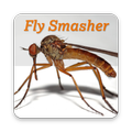 Fly Crusher