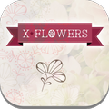 Xflowers - Nazareth Illit