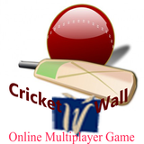 Multiplayer Cricket Game icône