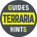 APK Guide.Terraria