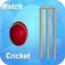 Online Watch Cricket APK