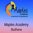 Maples Academy Budhana