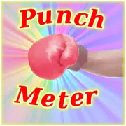 Punch Meter