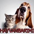 Pet Care