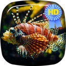 Ocean Fish Underwater Wallpap APK