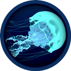 Ocean Jellyfish Live Wallpaper icon