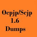 APK Ocpjp/scjp 1.6 dumps