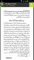 Hazrat Umer Farooq ke Qissey تصوير الشاشة 3