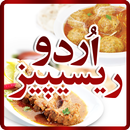 Urdu Recipes (Urdu Pakwan)-APK