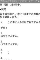 10分でできるプログラマレベルチェックアプリ تصوير الشاشة 1