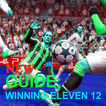 New Guide Winning Eleven 12