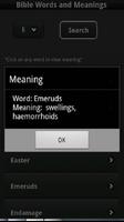 Bible Words with Meaning تصوير الشاشة 2