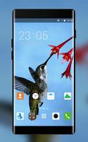 Theme for Oppo Neo 7 постер