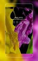 Theme for R1c HD: Colors imagem de tela 2