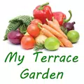 My Terrace Garden