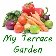 My Terrace Garden