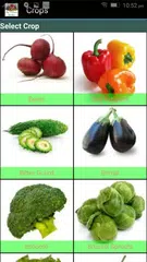 My Terrace Garden APK download