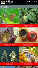 My Terrace Garden APK download