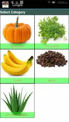 My Terrace Garden APK download