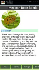 My Terrace Garden APK download