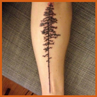 Tree Tattoos icône