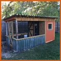 Diy Chicken Coops