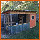 Diy Chicken Coops APK