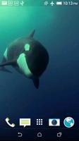 Orca 3D Video Wallpaper poster