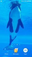 Orca Whale Video Wallpaper تصوير الشاشة 1