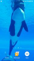 Orca Whale Video Wallpaper captura de pantalla 2