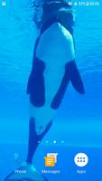 برنامه‌نما Orca Whale Video Wallpaper عکس از صفحه