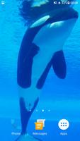 Orca Whale Video Wallpaper captura de pantalla 3