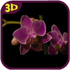 Orchids flowers Live Wallpaper icon