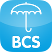 BCS Online