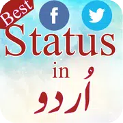 Status in Urdu