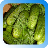 Малосольные огурцы рецепт