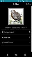 Bird Quiz Affiche