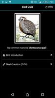 Bird Quiz screenshot 1