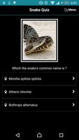 Snake Quiz постер