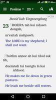 Matupi Chin Standard Bible capture d'écran 1