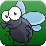 Dung Fly