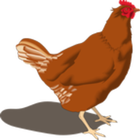 Poultry Manager icon