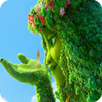 Latest Moana Videos APK