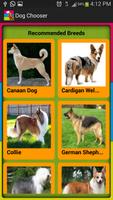 Dog Breed Chooser تصوير الشاشة 3