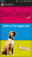 Dog Breed Chooser Plakat