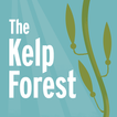 The Kelp Forest: A Young Explo