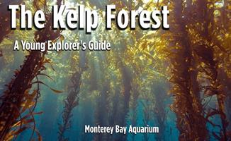 The Kelp Forest: A Young Explo Affiche
