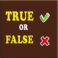 True or False Quiz 포스터