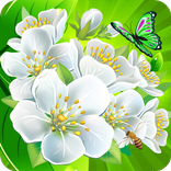 Flower Crush Match 3