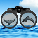 See & ID Dolphins & Whales APK